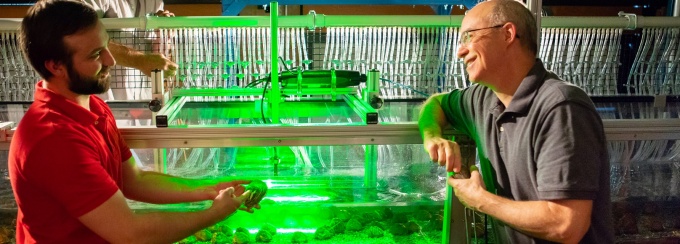 Student and professor working together in the Laboratory.