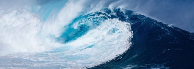 Wave dynamics. 