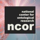 2023 Basic Formal Ontology Summit Meeting - 6. 