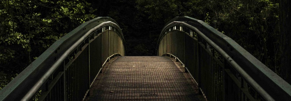 Bridges: In Honor of Kah Kyung Cho. 