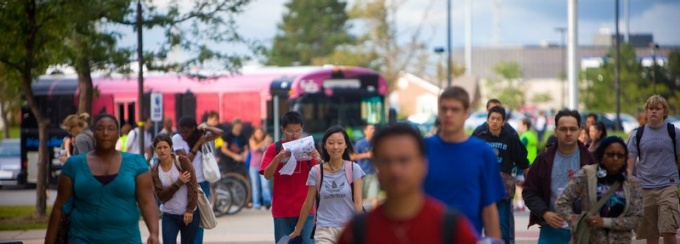 students collaborate. 