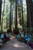 Students at Muir Woods. 