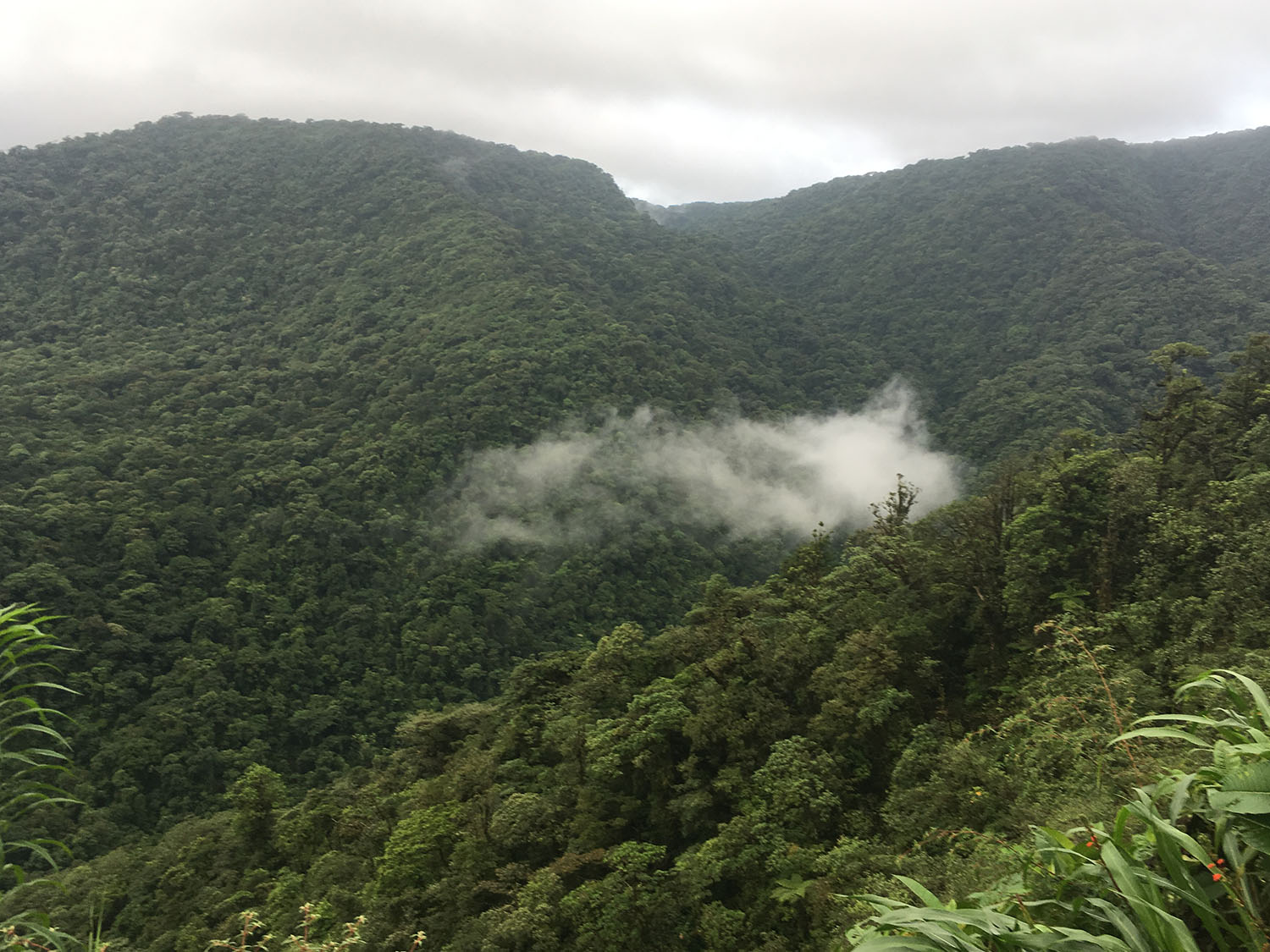 Mountains at the Braulio Carrillo National Park in Costa Rica