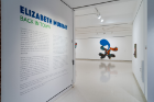 Elizabeth Murray: Back in Town, 2021 installation view, University at Buffalo Art Galleries. Photo: Nando Alvarez-Perez.