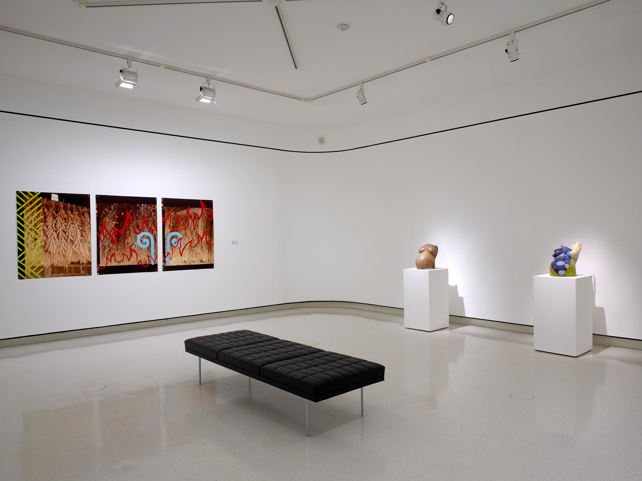 UB Art Gallery to exhibit Jones' work - UB Reporter