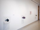 An installation photograph of Thinking in Indian at UB Anderson Gallery. In a wide shot of a hallway we see three vitrines with objects in them, the nearest is a bird, in the middle is a basket, and we can't make out the furthest object. 
