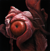 Still Life with Meat Flower, 2010. Oil on canvas, 10x10 inches. Private collection, New York, NY. 