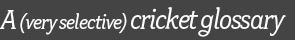 A (very selective) cricket glossary