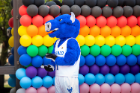 UB Mascot Victor E. Bull standing in front of a display of rainbow balloons. Photographer: Meredith Forrest Kulwicki