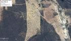 A screen grab from Google Earth, taken by UB researcher Eun-Hye "Enki" Yoo, showing termite mounds in Brazil.