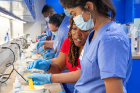 Students in the joint Destination Dental School and Native American Pre-Dental Student Gateway Program made molds of their teeth as part of a hands-on activity in the pre-clinical simulation lab at the UB School of Dental Medicine. Photographer: Meredith Forrest Kulwicki