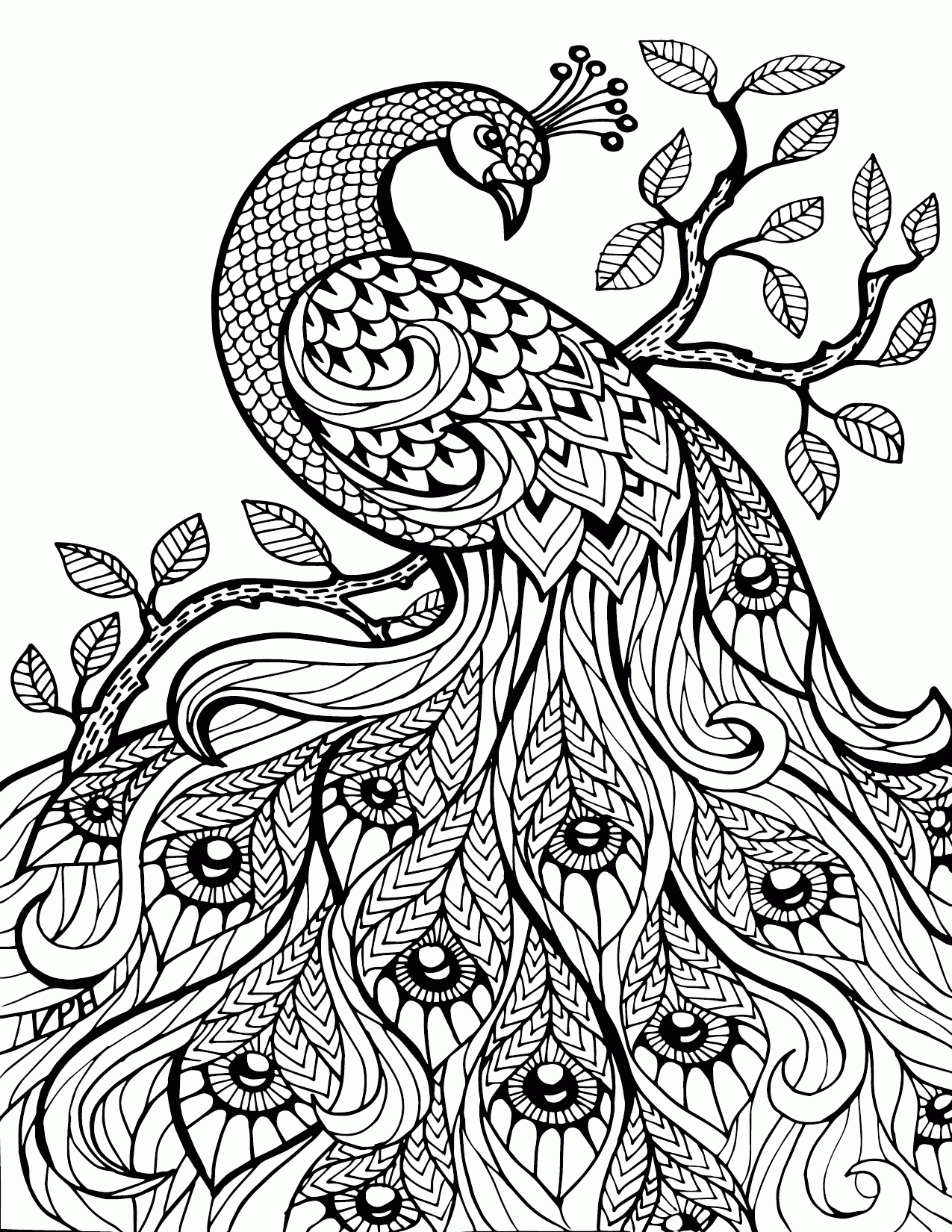 coloring pages