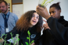 Gabriella Melendez, center, and Shaniylah Welch (right) examine potato plants in a classroom at Hamlin Park. Photo: Douglas Levere