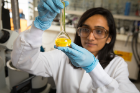 First author Anjula M. Kosswattaarachchi, a PhD student in chemistry, holds a volumetric flask containing BODIPY dye.