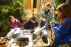 From left: Gina Boccolucci, Alex Farley, Katherine Metzler and Lynne Koscielniak work in the greenhouse.