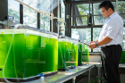 Helios-NRG senior research engineer Benjamin Lam takes measurements that will help him determine how much carbon dioxide microalgae are capturing. Photo: Douglas Levere