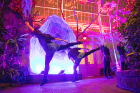 Members of the Zodiaque Dance Company perform "Cross Section" to the song "Sun Will Set" by Zoë Keating. In the background is “Geode,” a 12-foot-tall sculpture in Dome 11 designed by junior Nicholas Taboni.