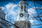 Trees are budding. That's the Hayes Hall clock tower in the background.