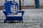 A snow frosted adirondak chair sits an a snowy lawn. 