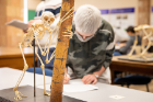 Gwen Burrows documents her observations in Anthropology 461: Human Paleontology.