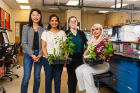 Left to right: Zhen Q. Wang, assistant professor of biological sciences, is leading the project. The goal is to decipher how the foxglove plant Digitalis lanata makes compounds called cardenolides, which have pharmaceutical relevance. Lab members include PhD students Indu Raghavan and Emily Carroll, and undergraduate researcher Zahin Hossain, who has since graduated.