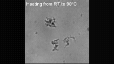 Animated gif of RNA droplets forming as heated up.