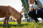 The National Equine Institute of Growth through Healing (NEIGH Inc) set up outside the Student Union in May 2023 . The event was organized by UB Veteran Services to help students and student veterans manage stress as the semester ends. Photographer: Meredith Forrest Kulwicki