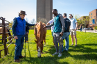 The National Equine Institute of Growth through Healing (NEIGH Inc) set up outside the Student Union in May 2023 . The event was organized by UB Veteran Services to help students and student veterans manage stress as the semester ends. Photographer: Meredith Forrest Kulwicki