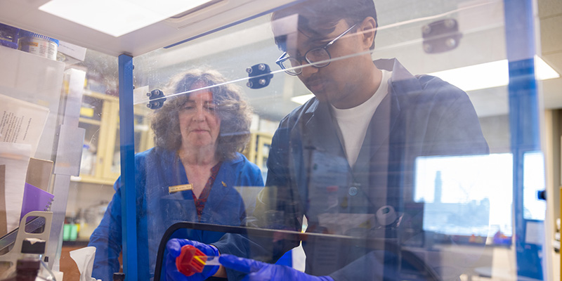 Two people work together at a laboratory bench behind a clear protective enclosure. One person wearing gloves holds a blue tool or instrument while the other observes closely. Shelves and equipment are visible in the background, and reflections appear on the transparent shield surrounding the workspace.