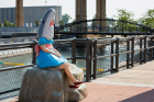"Shark Girl" enjoys the sun on a summer day at Canalside in downtown Buffalo, NY.