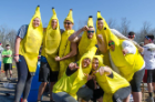  Go bananas! It’s not about winning, it’s about letting loose for a few hours before finals.