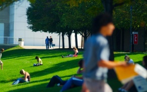 students on the lawn. 