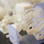 a 3D model of a piece of a cardio-vascular system. Many strings tied together on another object. 