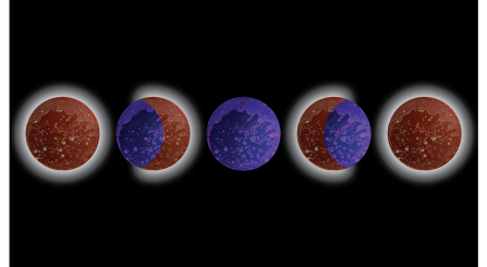 Bacteria under visible and ultraviolet light looking similar to the phases of the moon. 