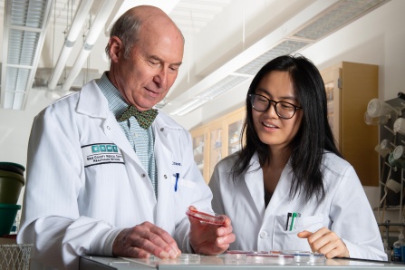 John K. Crane, MD, PhD, and medical stduent Tammy Yang in the lab. 
