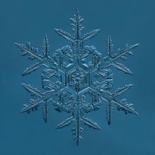 A single snowflake on a blue background. 