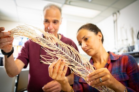 Zoom image: Angela Martinez Quintana, right, is a PhD student in evolution, ecology and behavior, one of the programs housed in the UB Department of Environment and Sustainability. She is studying coral reefs in the lab of Howard Lasker, left, chair of the department. Credit: Douglas Levere / University at Buffalo 
