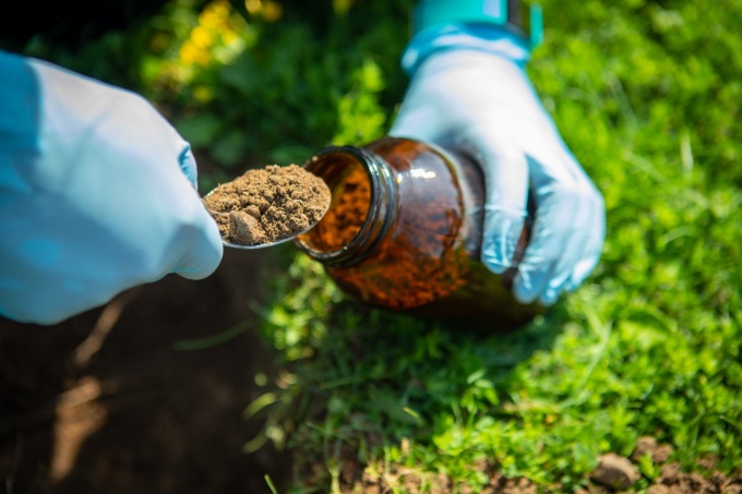 Zoom image: A soil sample is taken in 2018. Credit: Douglas Levere / University at Buffalo 