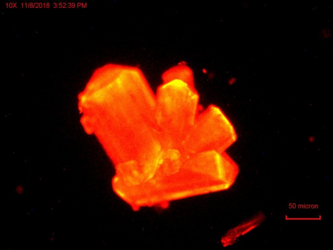 Zoom image: Crystals of a curium-containing compound with an orange glow, which the researchers used to monitor the changes in chemistry as they applied pressure. Credit: Thomas Albrecht-Schmitt, originally published in Nature. 