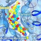 Common insecticides mimic melatonin. 