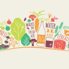 Illustration of components of a healthy lifestyle: fruits and vegitables, water, exercise. 