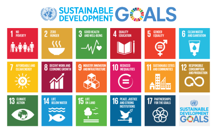 global goals. 