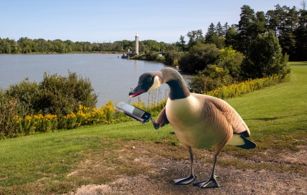 A goose uses the new Waddle app to order from Chik Mex (image partially generated by AI). 