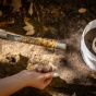 soil pulled up from the ground by a metal tool to test hydration levels. 
