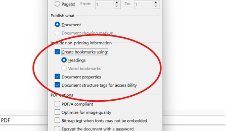 Options menu displayed in Microsoft Word in Windows. A red circle surrounds "Create Bookmarks using Headings" as well as "Document Properties" and "Document structure tags for Accessibility" indicating to select these options. 