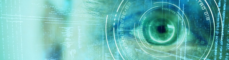 Big data text against close up human eye. 