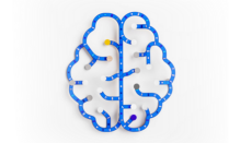 Line Illustration of a Brain Art. 