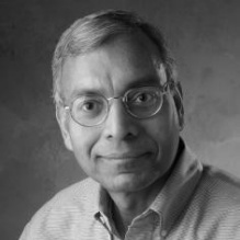 Portrait of Anil Jain. 