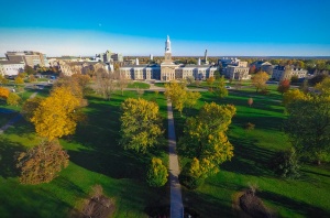 The green lawn in front of Hayes hall seen from the air. 