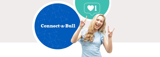 Connect-a-Bull. 